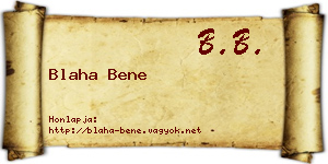 Blaha Bene névjegykártya